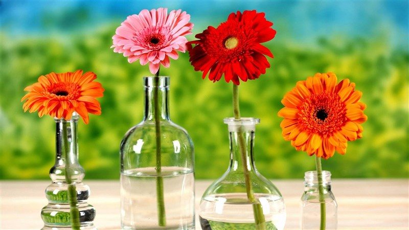 52 Man Made Red Flower Gerbera Vase Colorful Pink Flower Orange Flower