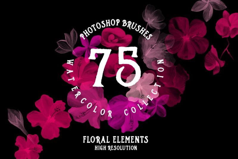 75 photoshop brushes watercolor collection 75 photoshop brushes watercolor collection
