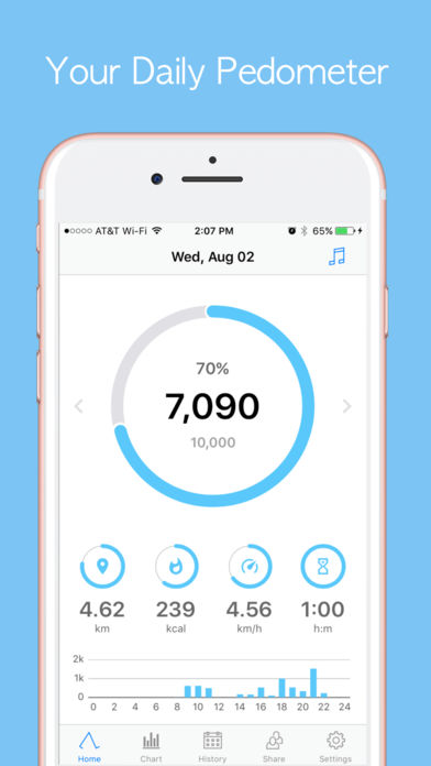 Accupedo Pedometer Accupedo Pedometer