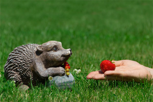 How To Overcome The Menace Of Content And Photo Sharing How To Overcome The Menace Of Content And Photo Sharing