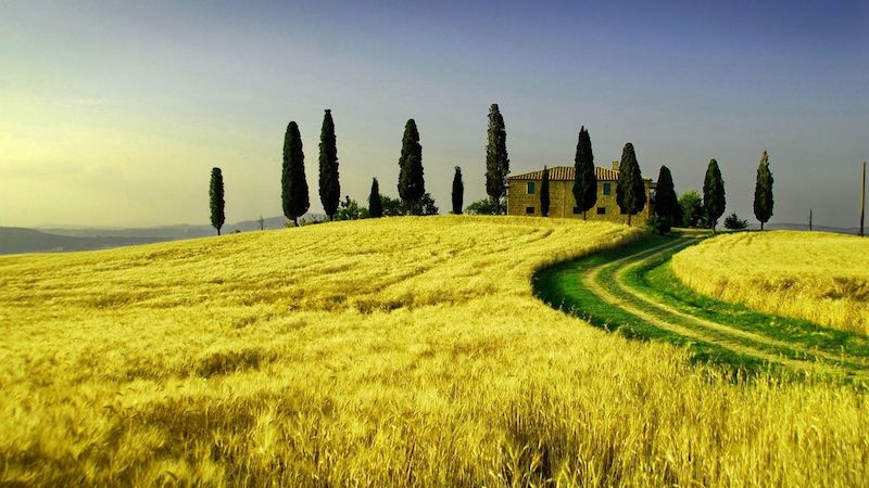 Summer Farm Wheat Tuscany Landscape Summer Farm Wheat Tuscany Landscape