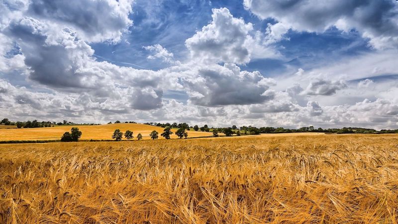 Summer Sky Clouds Fields Landscape Wallpaper Summer Sky Clouds Fields Landscape Wallpaper