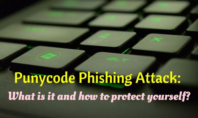 What is Punycode Phishing Attack and how to protect yourself? What is Punycode Phishing Attack and how to protect yourself?