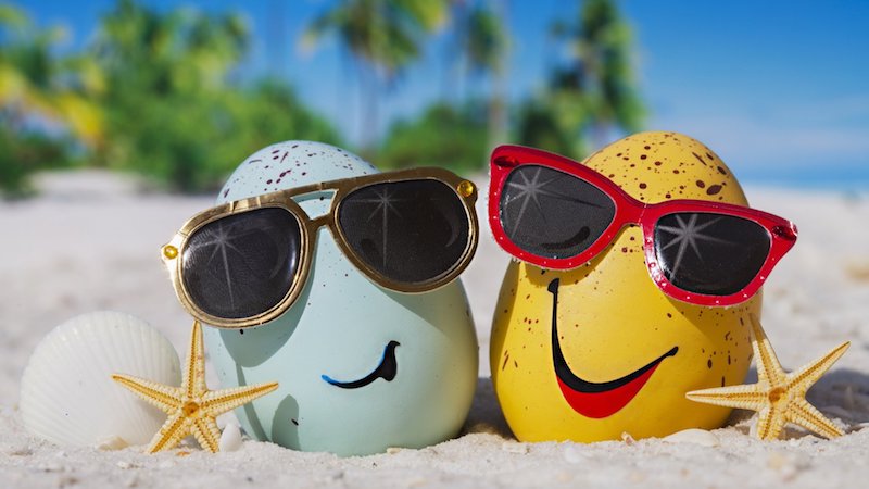 beach egg sunglasses beach egg sunglasses