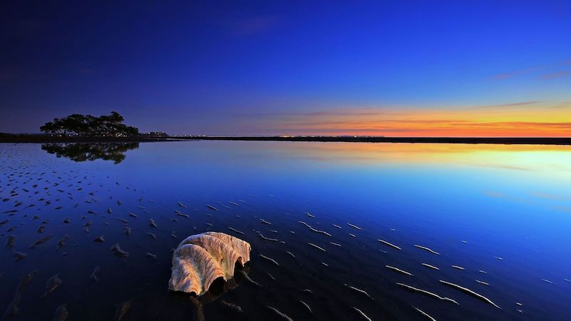 beach summer water sky horizon beach summer water sky horizon
