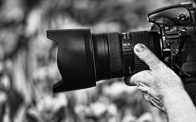 establish photography expert establish photography expert