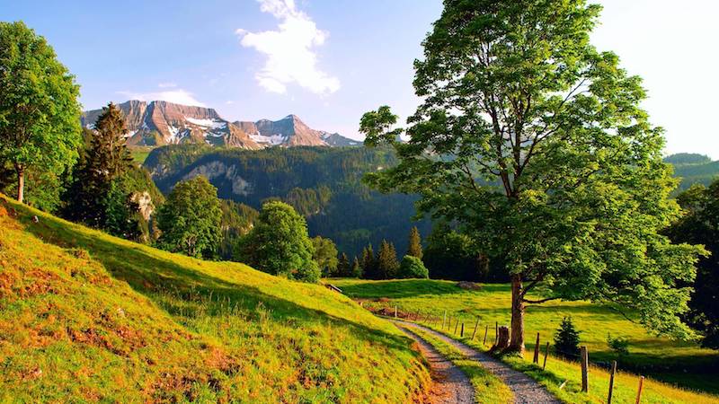 summer season landscape summer season landscape