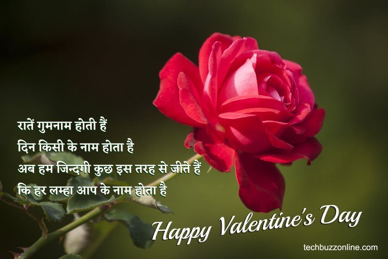 valentine day wishes in hindi 11 valentine day wishes in hindi 11